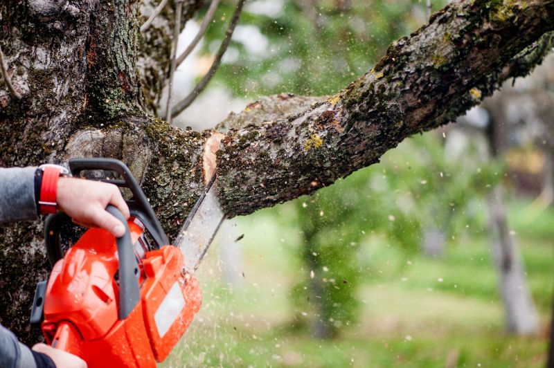 Branch Cutting