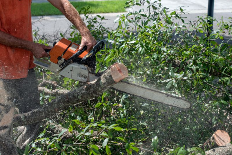 Branch Cutting
