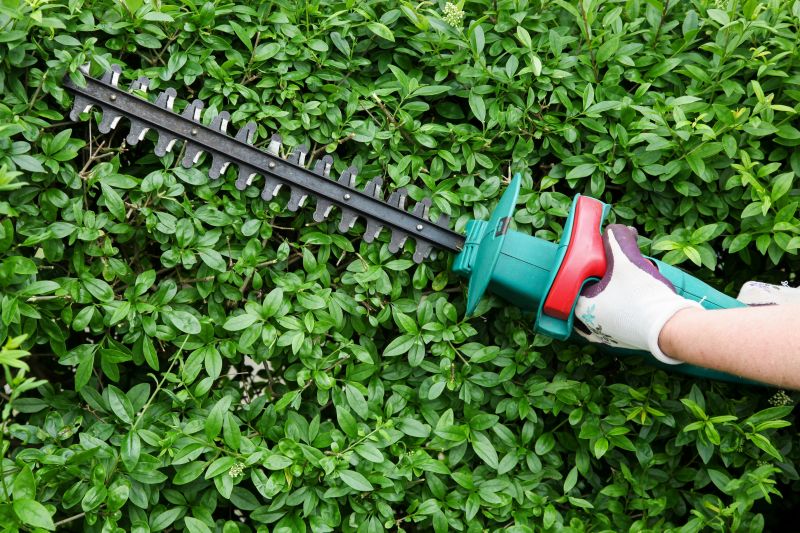 Evergreen Hedge Trimming in Aiken, SC