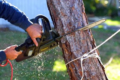 Private Tree Service Contractors
