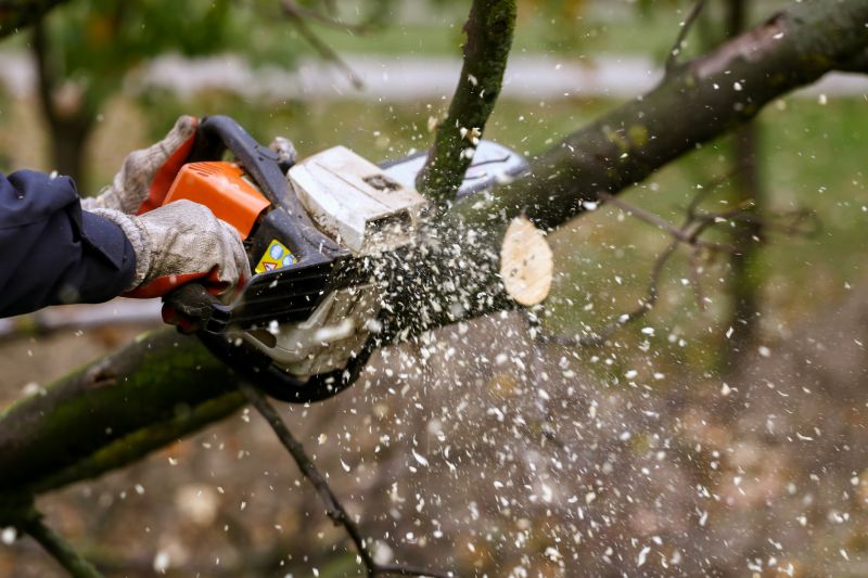 Increase Tree Longevity