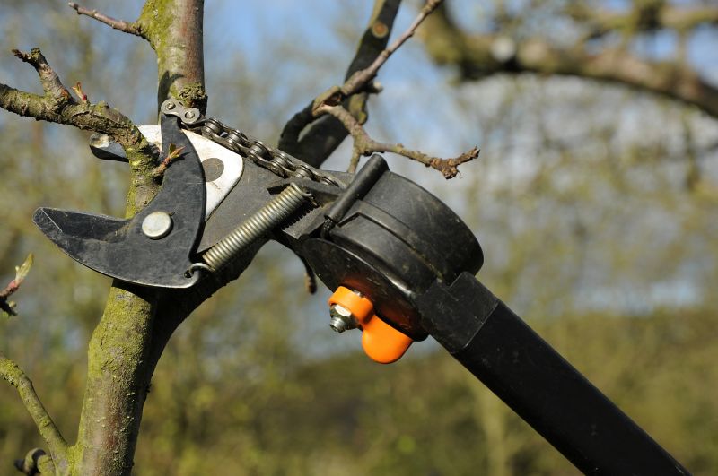 Enhance Tree Shape and Aesthetics
